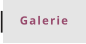 Galerie